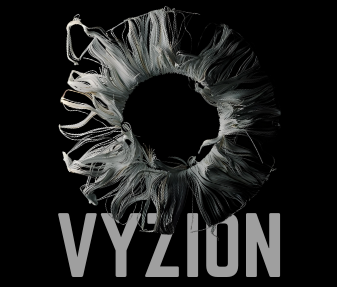 vyzion.online